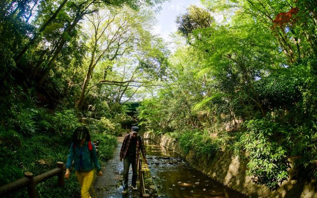 Golden Green Week! 新緑のゴールデンウィーク 等々力渓谷