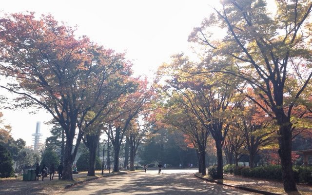 同い年の外交官〜セルビア大使館にて