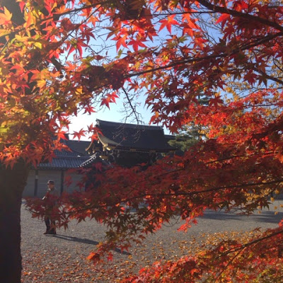 京都御所での幻想的風景 Autumn leaf in Kyoto Gosho