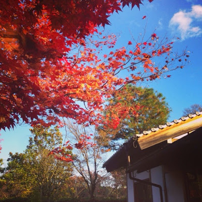 京都妙心寺での結婚式 Traditional Japanese wedding in a temple in Kyoto