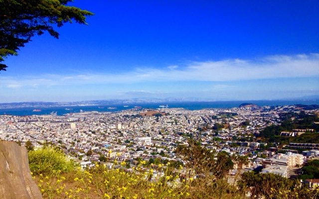 Twin Peaks In SF 高い所はお好き？