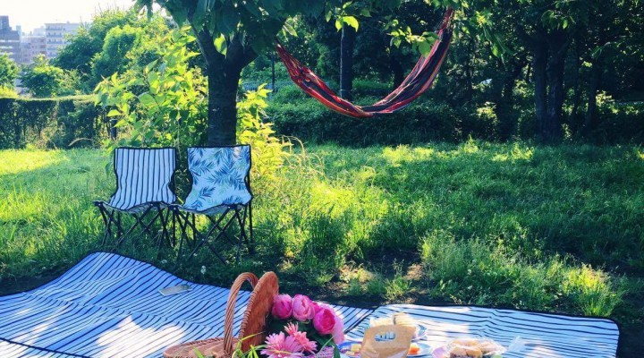 Summer picnic 簡単おしゃれなピンチョスで初夏ピクニック