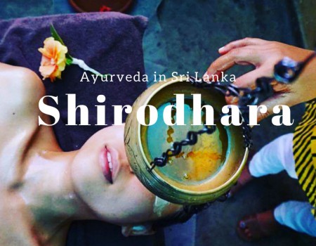 アユールヴェーダinスリランカ　シロダーラで癒されて　Ayurveda in Sri Lanka was more than just massage