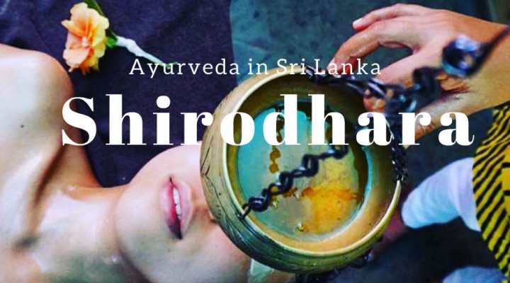 アユールヴェーダinスリランカ　シロダーラで癒されて　Ayurveda in Sri Lanka was more than just massage