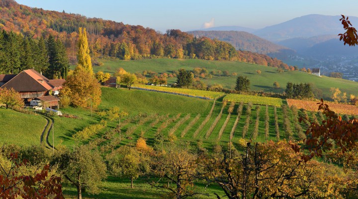 元経営コンサル、現農場勤務。 Laura, Switzerland.