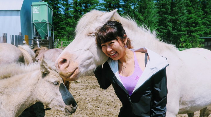 北海道観光：可愛い仔馬と戯れてピクニック