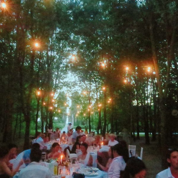 イタリアの森の中で、幻想的な結婚式　Dreamy wedding in Italy