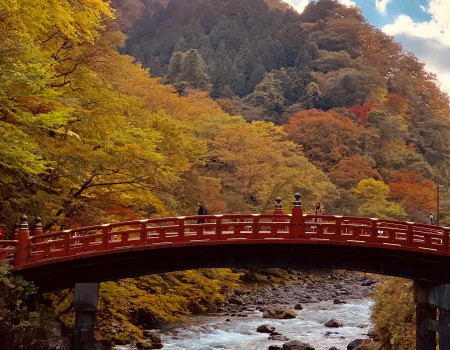 日帰りで、紅葉の日光へ!  Day Trip plan:Colored leafs in Nikko, Japan