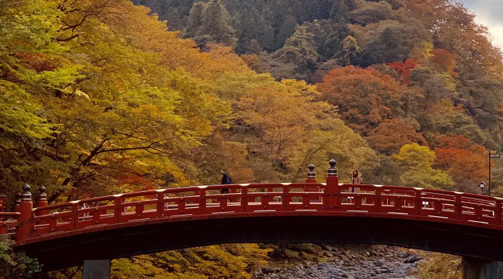 日帰りで、紅葉の日光へ!  Day Trip plan:Colored leafs in Nikko, Japan