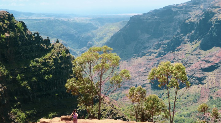 初のカウアイ島！ワイメアキャニオンでトレッキングして景色に圧倒される。First time in Kauai island- Waimea Canyon trekking