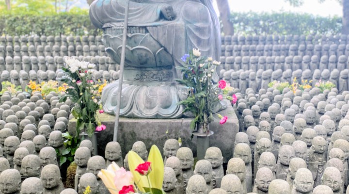 長谷寺へ🌻月命日の水子供養 Buddhist Ritual To Mourn stillbirth