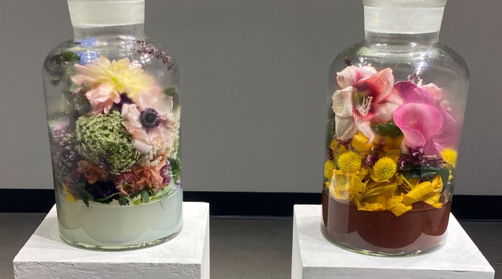 Flower Compost -腐っていく経年劣化を楽しむフラワーコンポストが面白い #SDGs