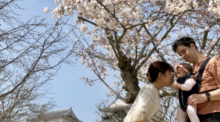 愛媛香川旅③ 空に浮かぶ松山城 桜も開花！Matsuyama castle in the sky!