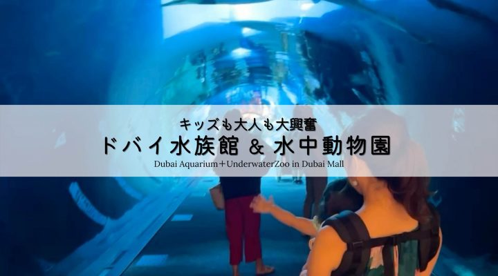 モールの中に水族館？キッズも大人も楽しめるドバイ水族館&水中動物園   Dubai Aquarium＋UnderwaterZoo Amazing activities