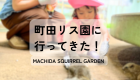 横浜みなとみらい！ 乳幼児が遊ぶ穴場を発見 Spots for Toddlers in Minatomirai, Yokohama