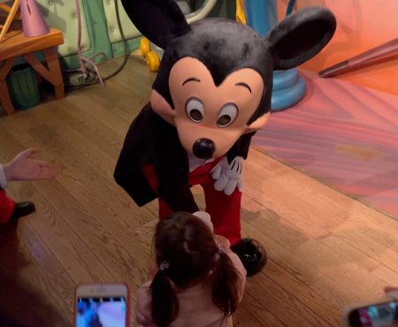 2歳0歳と行く東京ディズニーランド2〜アトラクション編 Tokyo Disneyland with a toddler and a baby Part 2- Strategy for attraction rides