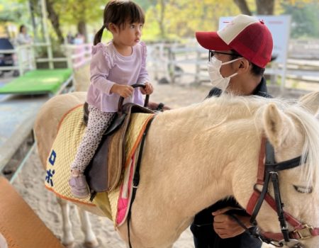 Guided tour for families with little kids: Experience Tokyo family life like a local