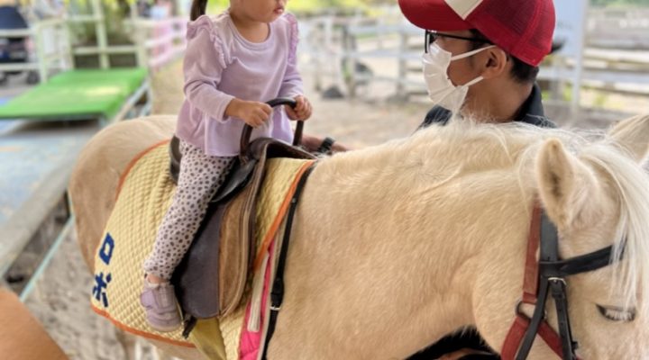 Guided tour for families with little kids: Experience Tokyo family life like a local