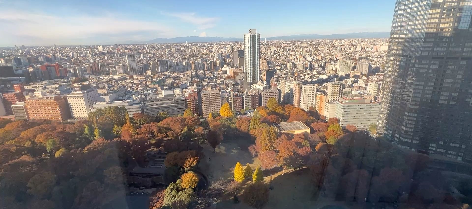 ハイアットリージェンシー東京！ラウンジが過去最高峰 Hyatt Regency Tokyo-the best lounge we ever had