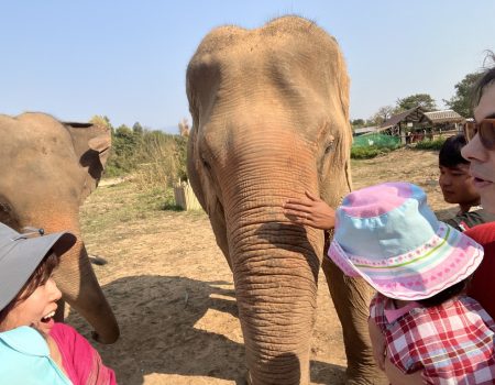 3歳1歳が忘れなかった1時間｜乗るor見る？タイのチェンマイでゾウとの触れ合い  “I Want to Meet an Elephant!” – Ride or Just Touch? Chaing Mai, Thailand with toddlers