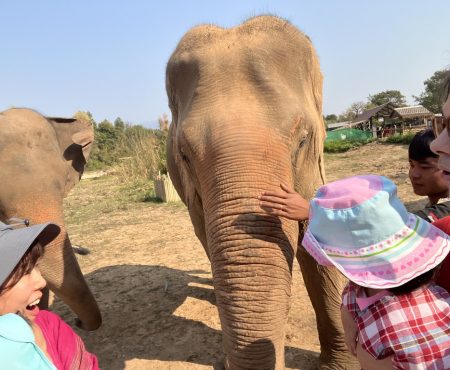 3歳1歳が忘れなかった1時間｜乗るor見る？タイのチェンマイでゾウとの触れ合い  “I Want to Meet an Elephant!” – Ride or Just Touch? Chaing Mai, Thailand with toddlers