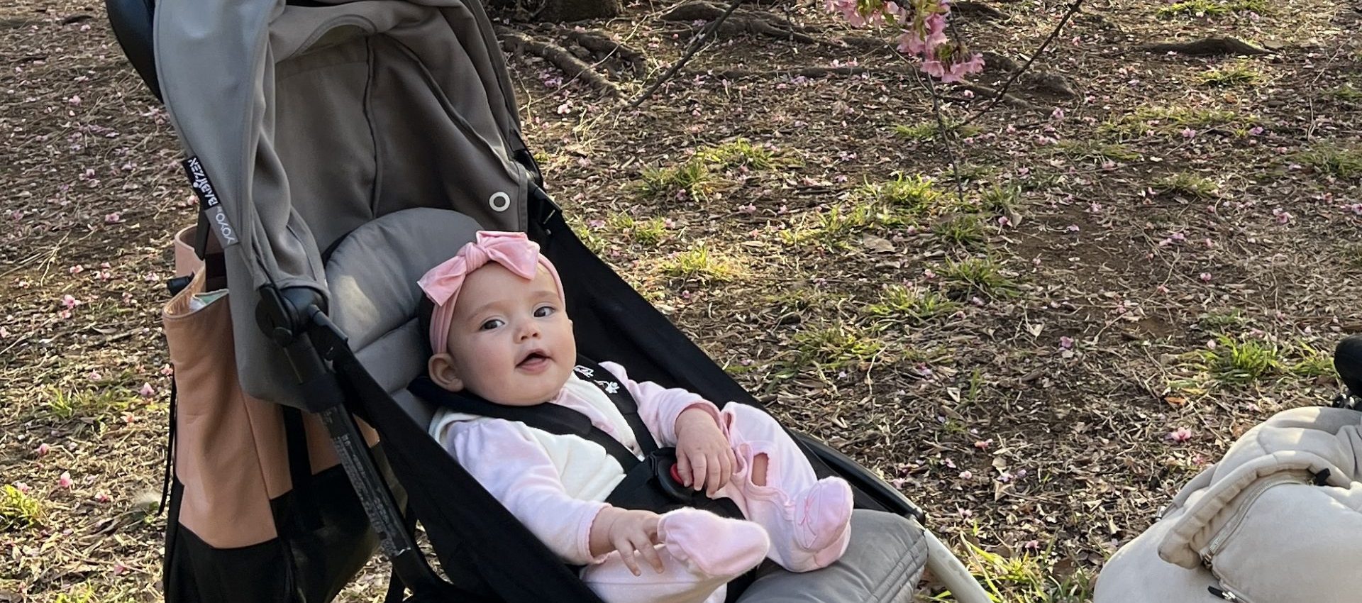 Rental Stroller Tokyo (Single)YOYO stroller