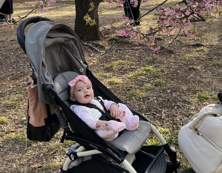 Rental Stroller Tokyo (Single)YOYO stroller