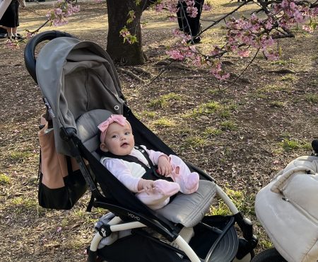 Rental Stroller Tokyo (Single)YOYO stroller