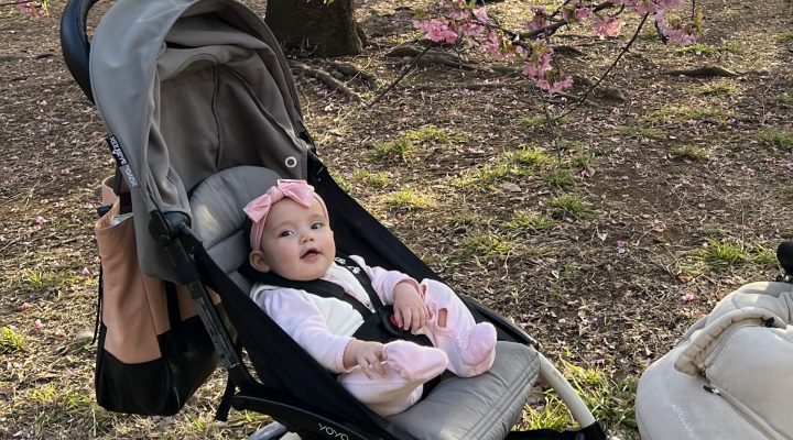 Rental Stroller Tokyo (Single)YOYO stroller